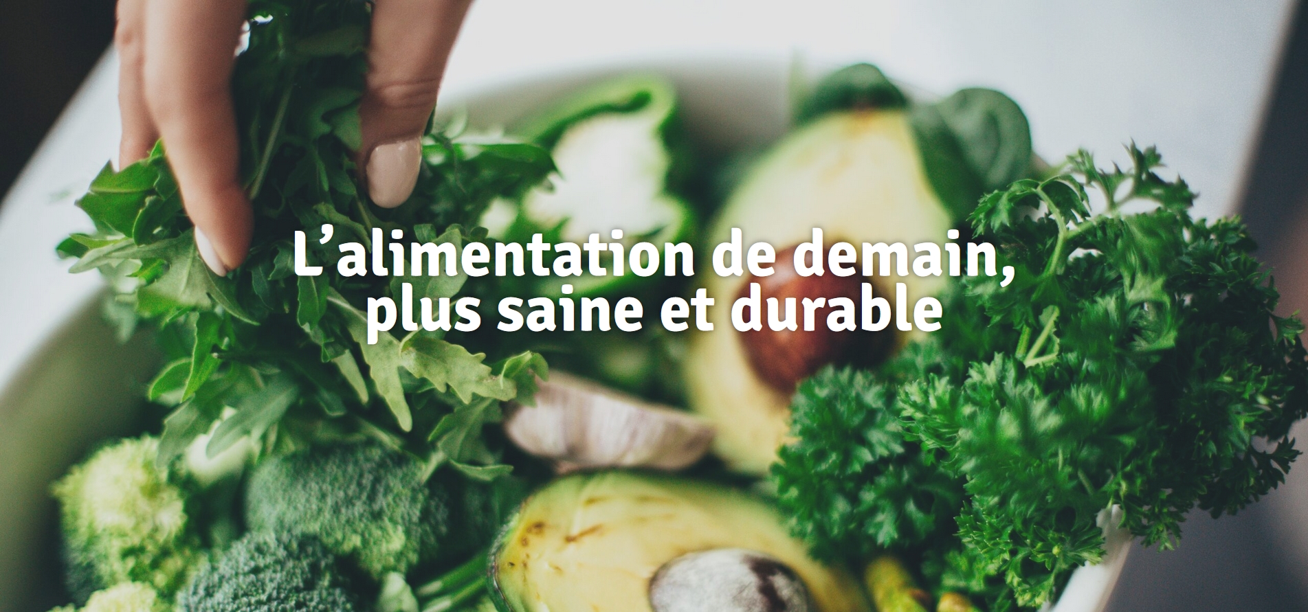 Alimentation Durable